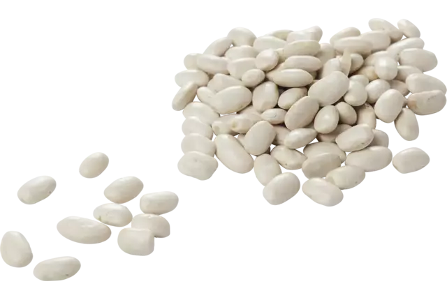 Witte bonen 500gr kist 15 stuks